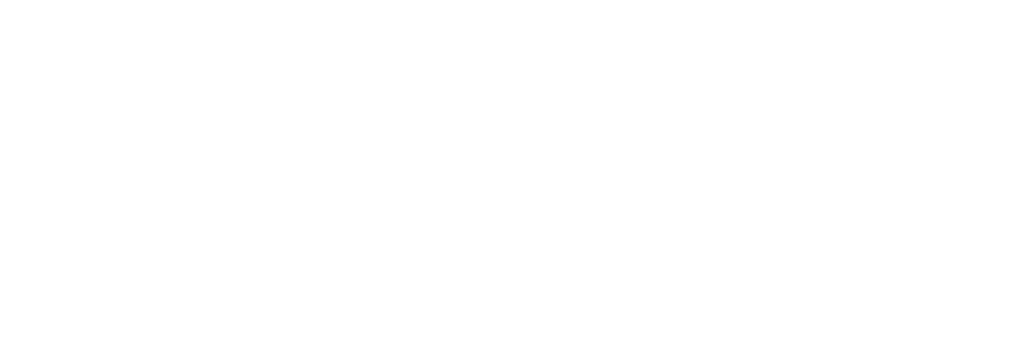 Berkut Group