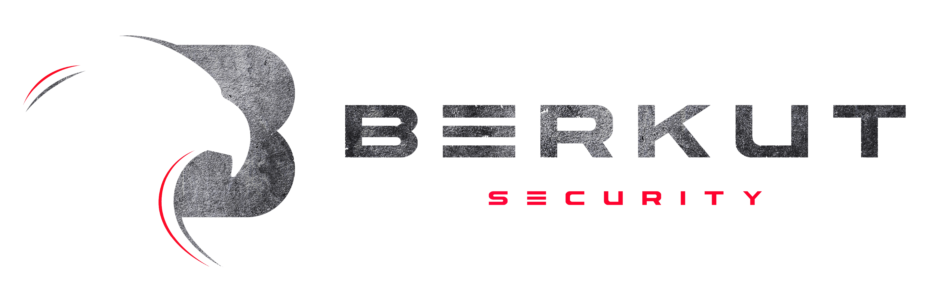 Berkut Security